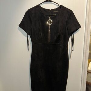 Calvin Klein Suede Dress.
